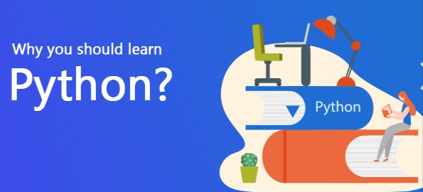 why you should learn python